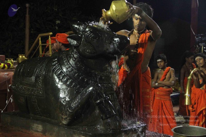 File:20171115 Photo 1237 117rbPRhMosWPnoKoDW2uB8PBujlb5cI4.JPG