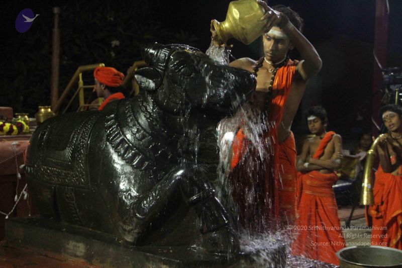 File:20171115 Photo 1238 1q9CG0xzg-F12pfdljI4vzIF0RMEWztz0.JPG