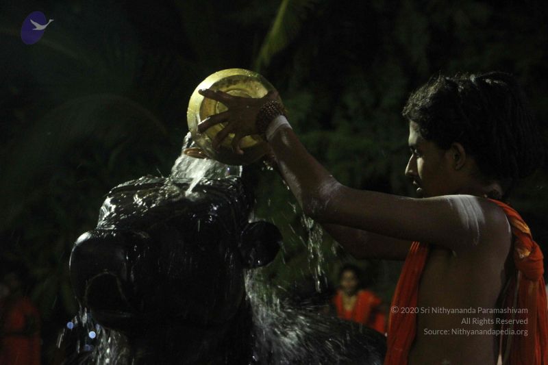 File:20171115 Photo 1239 1kInK9H9YC-U5sBOWw vFhEEh3DJyFW o.JPG