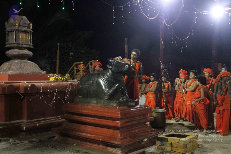 File:20171115 Photo 1241 1guGPWJNdC8 07jvsoHrZBtyr6QbMUhIz.JPG