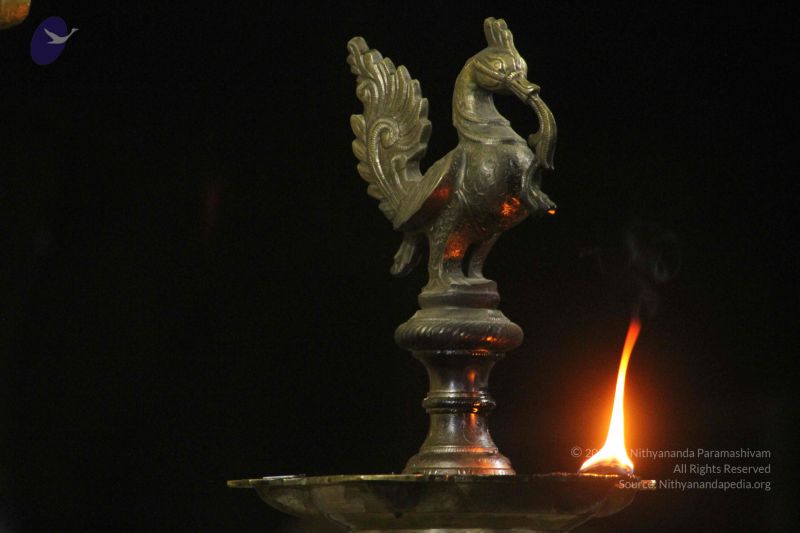 File:20171115 Photo 1243 1N32AIw8w8SKyB vrPQmA33pT1dvE3RkL.JPG