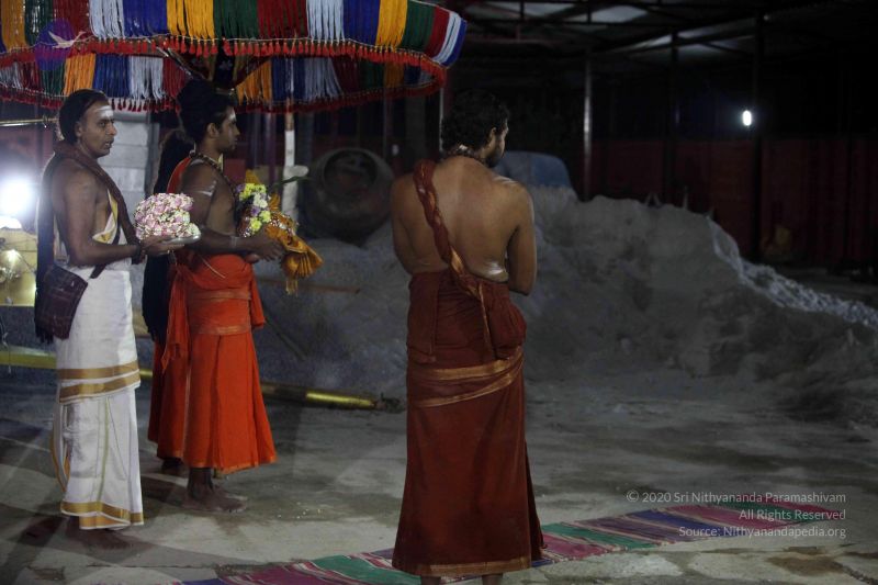 File:20171115 Photo 1249 17LtJpQusK5LJxJcarQ-tNE2vjOC9EVAt.JPG