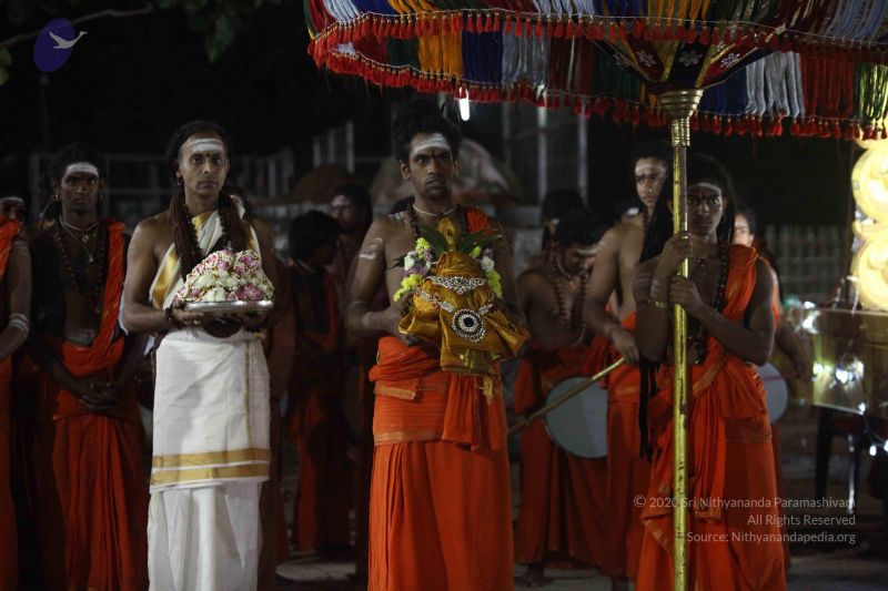 File:20171115 Photo 1250 1xpZtYyUVGLWpIdzpM7698QGFZYR cIDA.JPG