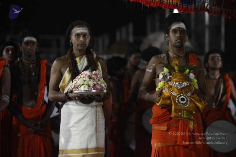 File:20171115 Photo 1252 1l4R6Jqwg40xwzIj0FyIPmtgUk 7Q1F8T.JPG