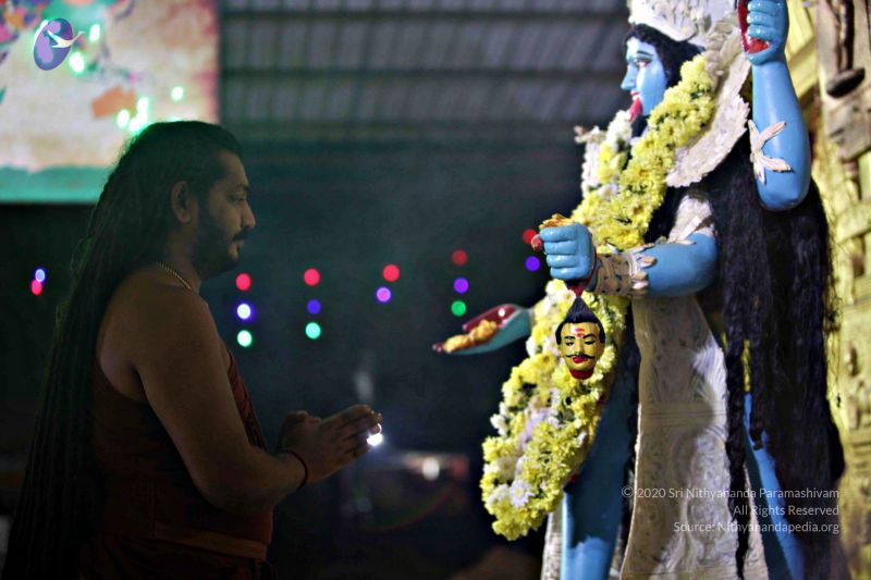 File:20171115 Photo 1277 1 y5xXYm56DLTcDiwX6Nnz7of70c5TtmV.JPG