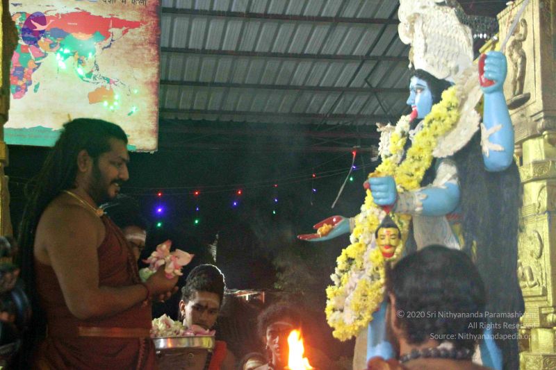 File:20171115 Photo 1353 1-00jmqOGBVbspQBsFt2qDtVreontndr6.JPG