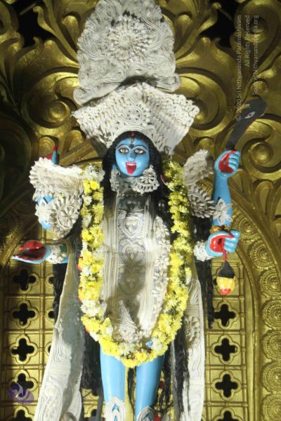 File:20171115 Photo 1378 10hnkMdab34aUMiSWY15jErykcbUWXfRk.JPG