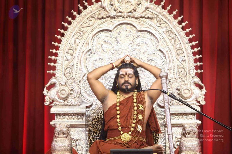 File:20171119 Photo 1072 1 1xK-lEjK1m7WC-jNkKEyE0ssfb68Yzq.JPG