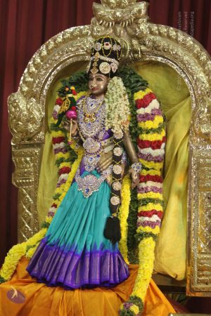 20171125 Photo 1000 1J61nS3DGVsyYzv56czXcnEo8ZxEDjj9o.JPG