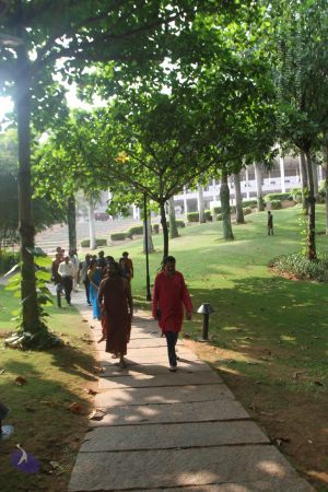 20171125 Photo 1034 1DpCFNBtdYLLLBbRaXmkFTFve3 W7TqwH.JPG