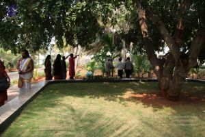 20171125 Photo 1051 1jg0PV7WvkIrE7unKyPxH4qoj6GsuEA3l.JPG