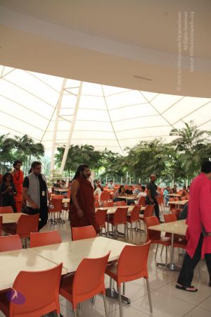 20171125 Photo 1055 1bC8SCZ3NYPdDFAgZmRCgUfCd6ZDKZwL6.JPG