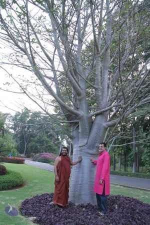 20171125 Photo 1077 18zmExApvW-ly9vObnyGL1MIcip9iiDPW.JPG