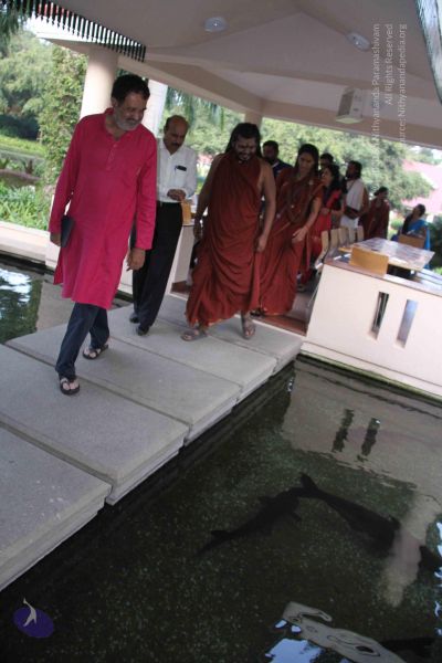 File:20171125 Photo 1088 1h6 Vy5MvPmvs5JIejEJ5 FbFgfD2GdtT.JPG