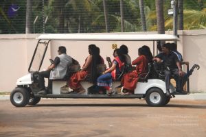 20171125 Photo 1523 1Gykr9k90VcAiPBPaC29GXDGOaFZ0jbk-.JPG