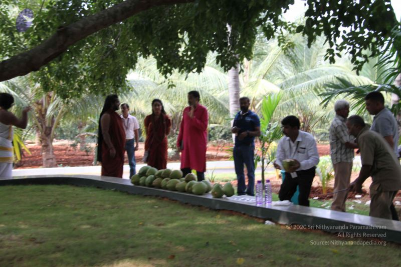 File:20171125 Photo 1530 1phOsIsjKW2r6tWs lSHbB-UZjld2Fx6a.JPG