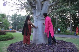 20171125 Photo 1712 1Zsu2R9rFoRTgAWJLvXrfNgMBZpbdv8Xx.JPG