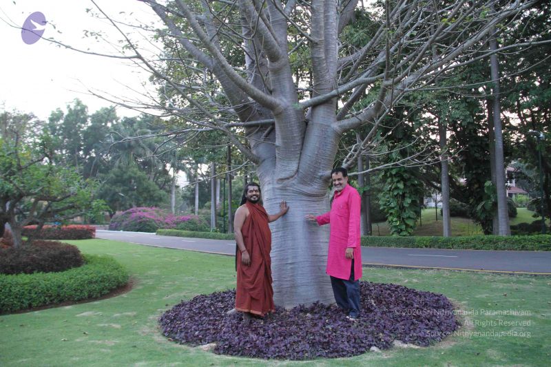 File:20171125 Photo 1725 1vml4tOFZ9l5VJwuVgzxWTbsbYm-gBbig.JPG