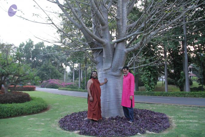 20171125 Photo 1726 1G6m4NOzQb1TUD3nKtcq7XNJf-IbVyPYT.JPG