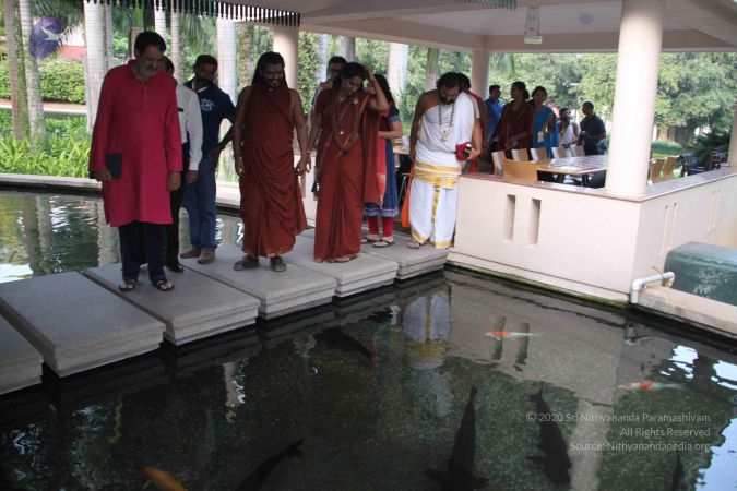 20171125 Photo 1753 17nu5PoBO7jdNtz2aB8mV3kB-0gzjN1uj.JPG