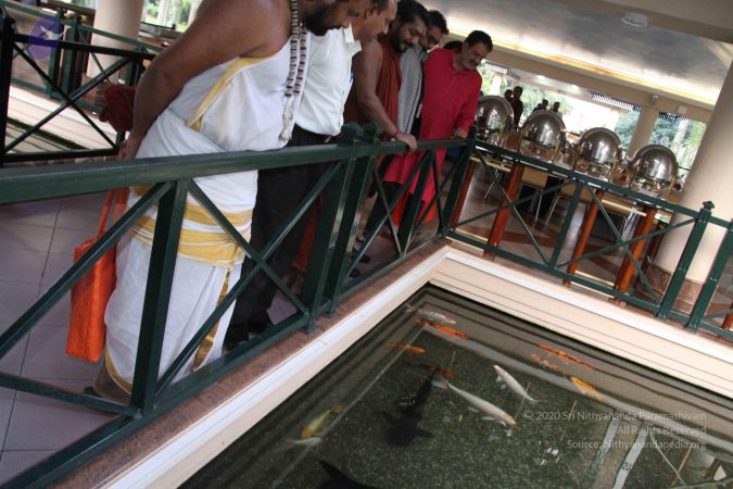 20171125 Photo 1761 1jaMDFcTj8JElI-ptxS-z69j5cVVeHCn .JPG