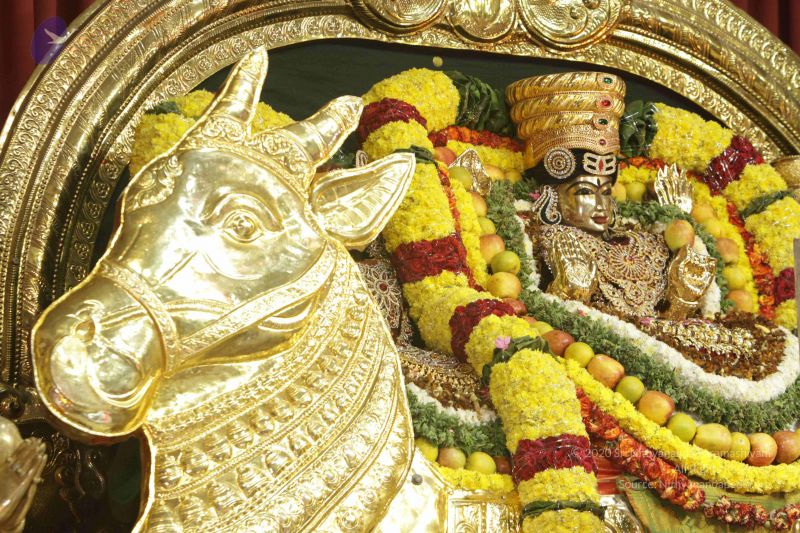 File:20171128 Photo 1208 1cwaAUYmKBN6hpomxzrCDsmvLgIsV7eZa.JPG