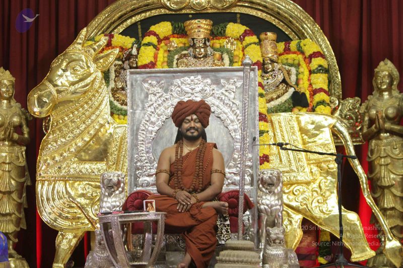 File:20171128 Photo 1278 1upeOFh3MGTnBPR9FyLMn6GTKMZlsPYGh.JPG