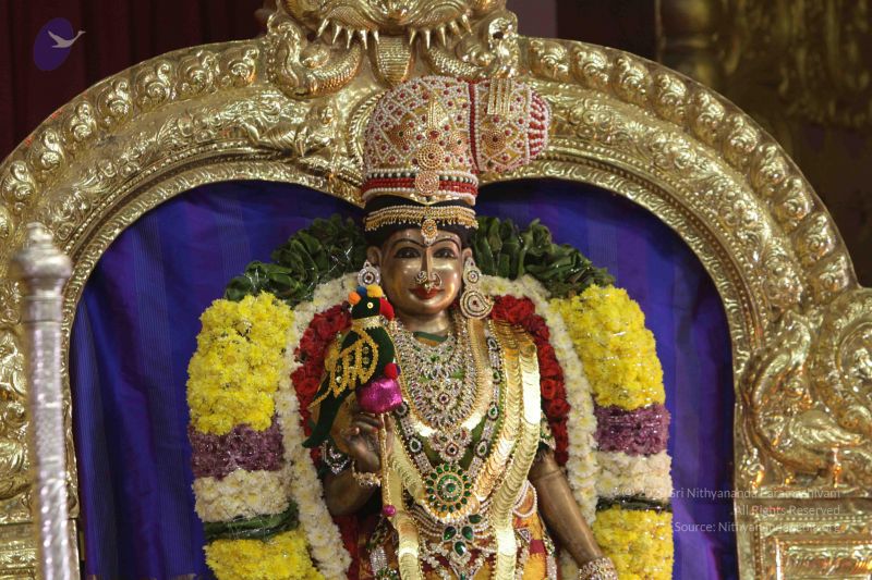 File:20171129 Photo 1097 1b 3LH2UTKKHMiLFzjOAGoltvxfFbYigK.JPG