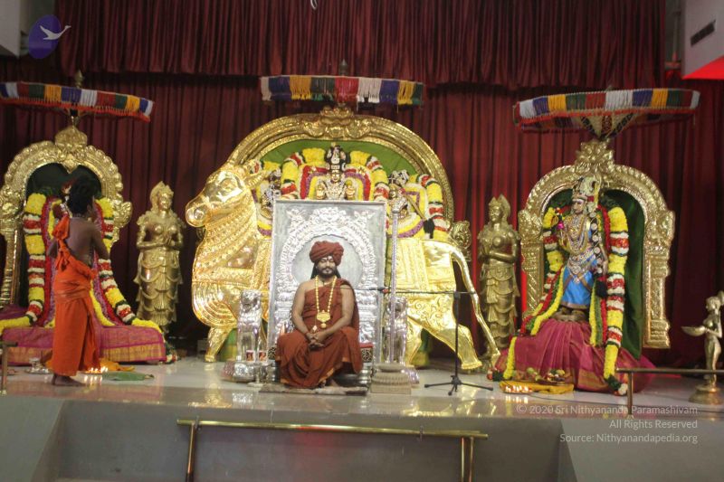 File:20171201 Photo 1022 1gtCoFmQZoqBrX3QgoceW1GV6WDrOV -Z.JPG