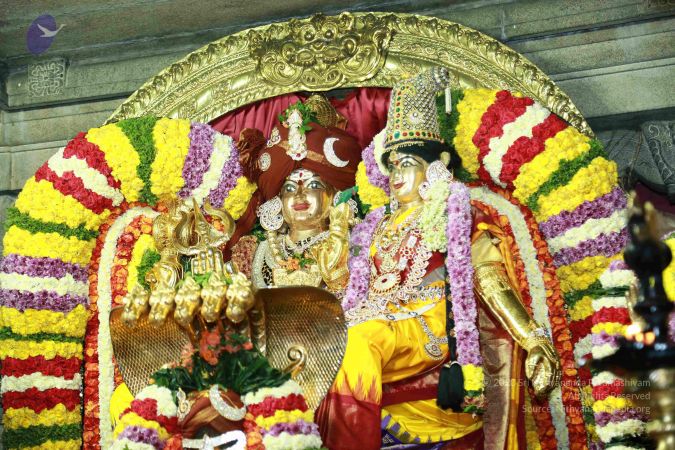 20171202 Photo 1176 1LT3SePsWtruMDczA3Lv4Wc4FgbF Ajfz.JPG