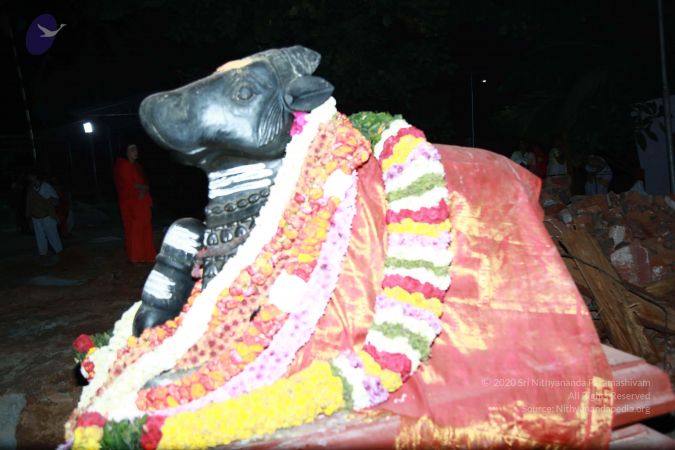 20171202 Photo 1658 1QiwmogappvaPW2VjrQwkkFSm4VOQukxr.JPG