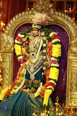 20171202 Photo 1825 1wmayhvO vecG8ctuHrpp8S-SvqMWZ7aB.JPG