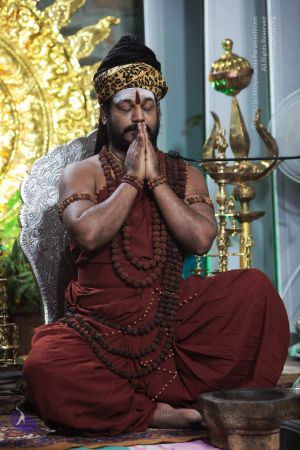 20171210 Photo 1039 1tdsUb1ZcX3CaQVYUayBYrmpz9t2yGOpl.JPG