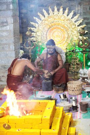 20171210 Photo 1315 1R10qzsWBc1NmQreDJTf-q8dRBRDiAMNH.JPG