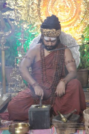 20171210 Photo 365 1Bue7eSWCzFDy7SjSWJGhBvx3TprrhCCH.jpg