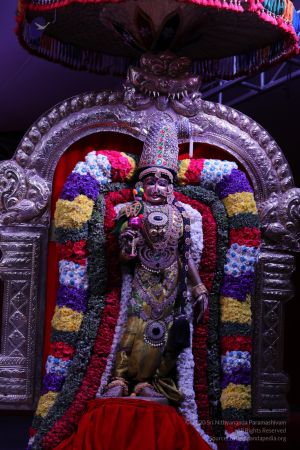 20171217 Photo 2838 1siWVxEr3Izp6SphY-CrcqPVOrBGZwPA6.JPG