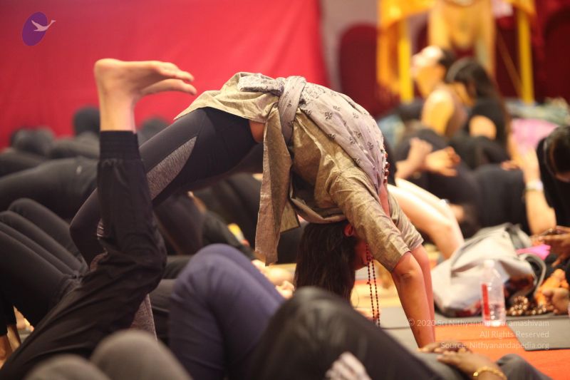 File:20171222 Photo 1132 1gM494WGIXE0Su2kzJPwfa8VI9bYt9IAZ.JPG