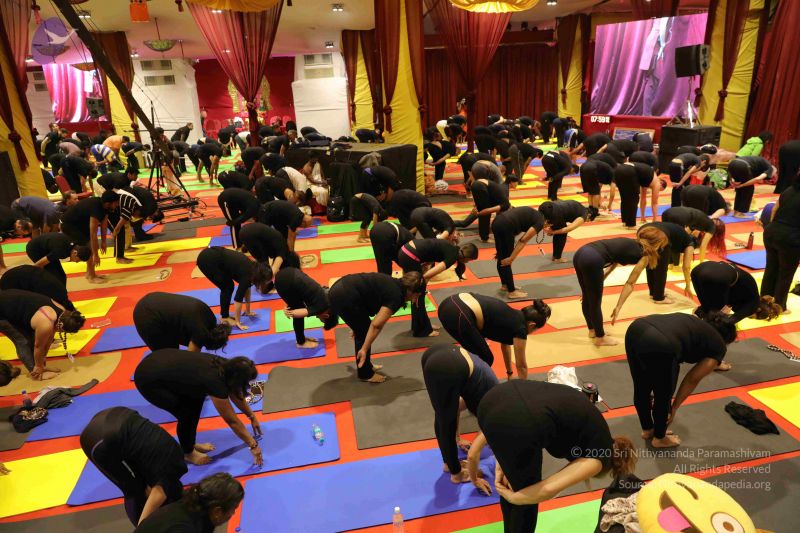 File:20171222 Photo 1975 1JjQxzf-YGSMNjGxgxdbmeVs4zXLC D0g.JPG