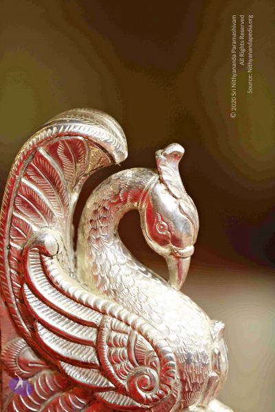 File:201712248308 CMP WM.jpg