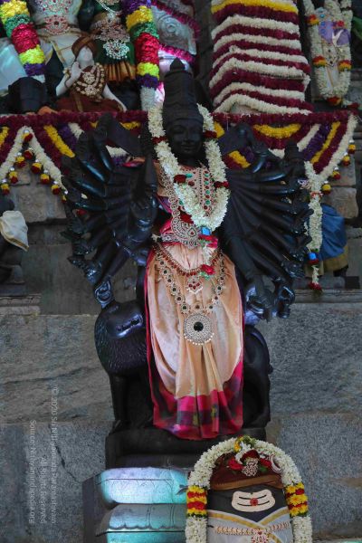 File:20171228 Photo 1017 1ZN5 ZvIYllUaaH 5bM-AcFcsWyy8 qZd.JPG