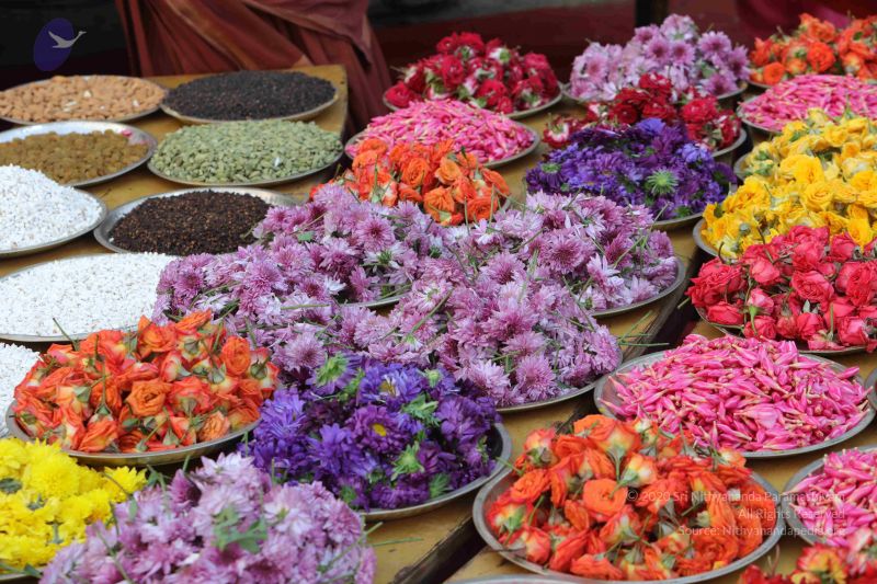 File:20171228 Photo 1018 1VDUq8u0k6hezGH3KwqGrgCs2-Zjev 0r.JPG