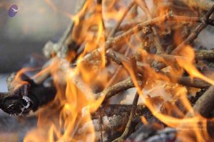 20171228 Photo 1214 1aYCyWa7vD9mw1czQ2sovyBew5HuJ 4kd.JPG