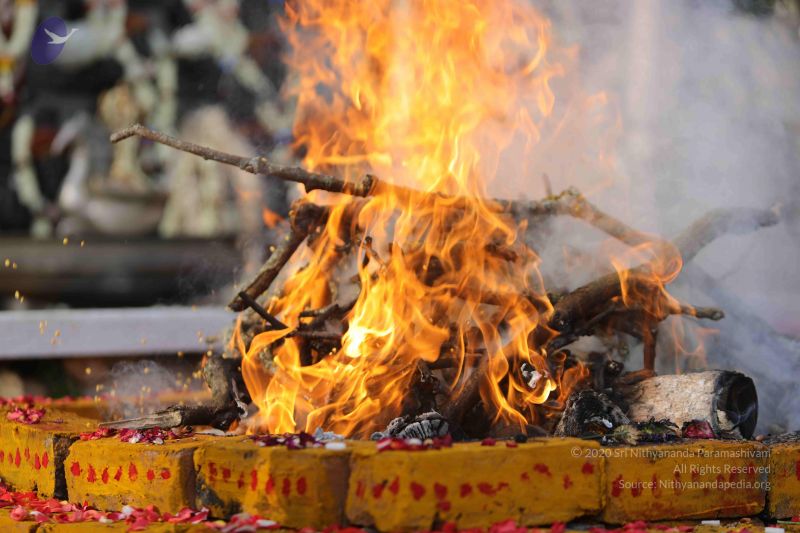 File:20171228 Photo 1215 1ffEu8JI08cKbRRQWBeP8~uVwblD4xhx.JPG