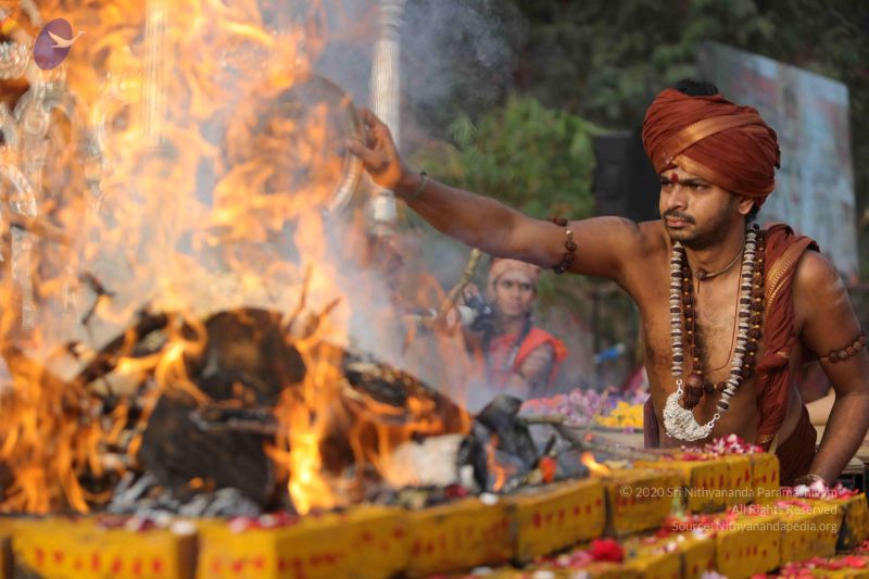 File:20171228 Photo 1219 1a4e7axonRx8892yi5R0ztxGbhEBZnQOE.JPG