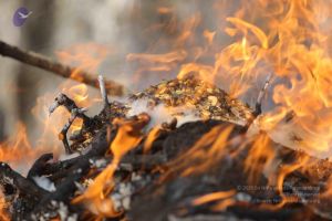 20171228 Photo 1220 1c-9TvBhL6LeQKfudJ-HSlG3PSeWMEHOG.JPG