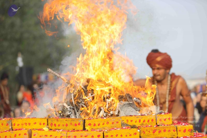 File:20171228 Photo 1225 1yovWKiqfHMRvSHLBlzhzp3aVAlDGLosX.JPG