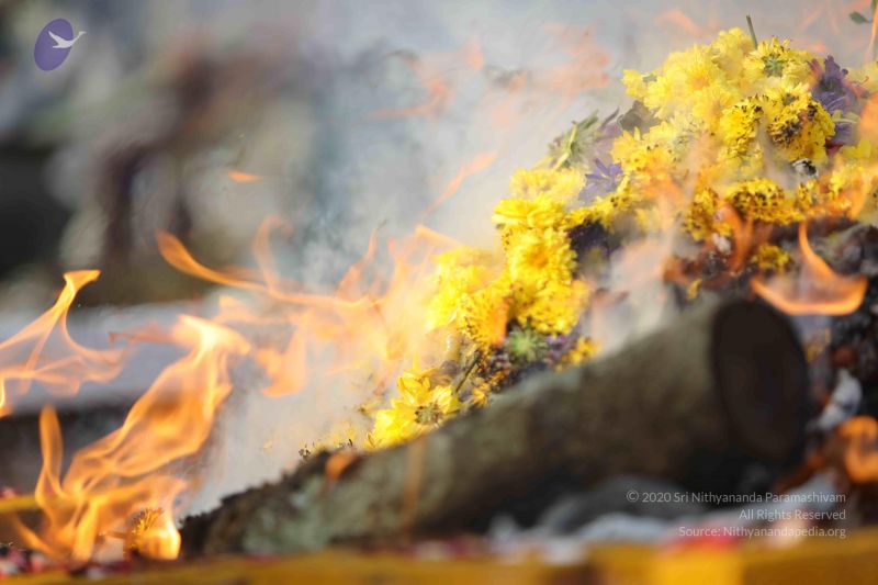 File:20171228 Photo 1228 1z9TMwLkeizWdKVdEIOfLprJXGQAtLp0Z.JPG