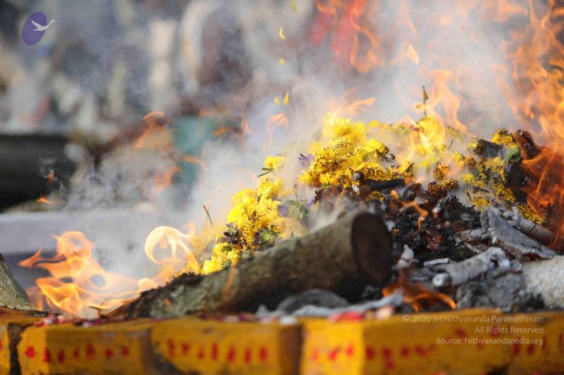 File:20171228 Photo 1230 1cKjGKqdC7vZv nNfPNJ8d-GYqmEDSYvj.JPG