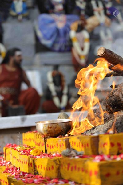 File:20171228 Photo 1243 1SLBr98 zAhoQsqjn5z9keomrcVqkW3Nv.JPG