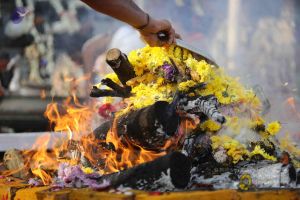 20171228 Photo 1253 1QJQU ve38CvFMed4UASNbNIrZjwqoC9j.JPG